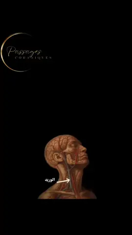 الراحة النفسية 🕋🥀❤️🤍