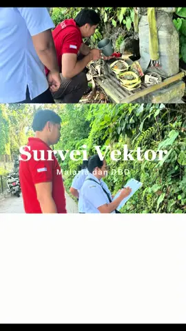 Survei vektor malaria dan DBD 