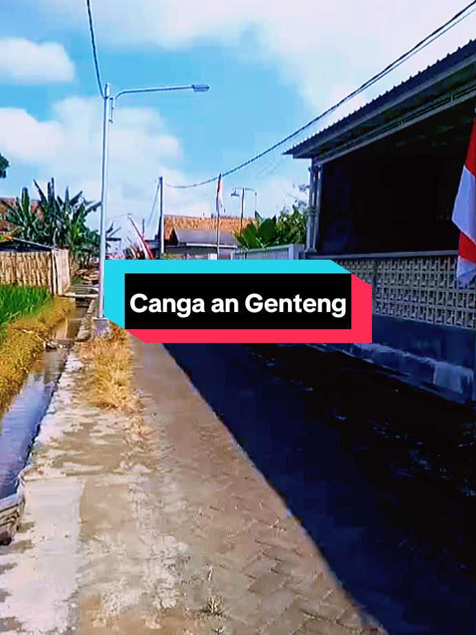tanah 200 jt luas 11 x 25 m lokasi canga an genteng wa 081233033467 #sbjpro #kavlingmurah #tanahmurahbanyuwangi #banyuwangi #fyppppppppppppppppppppppp 