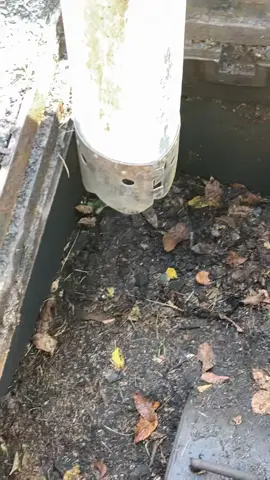 Making basins great again #work #storm #catchbasin #stormdrain #fyp