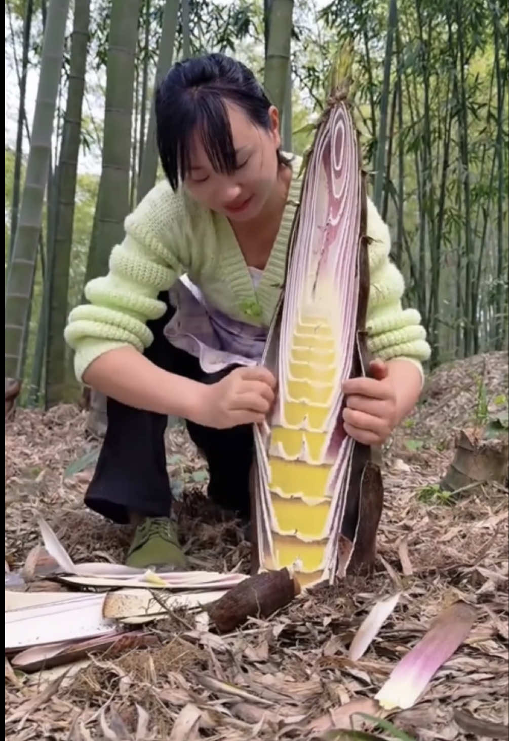 We’re out in the fields harvesting bamboo shoots 🎍🤯 With @Wild Bamboo shoots  #fyp #foryou #bamboo #foodporn 