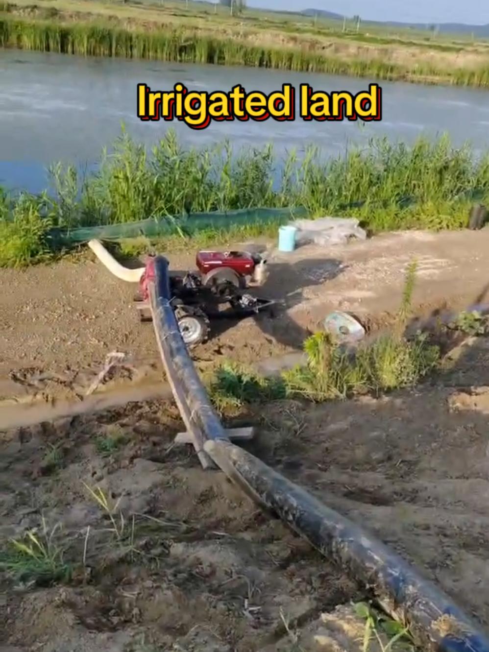 6-inch integrated diesel water pump#Centrifugal pump#Diesel oil suction pump#Irrigation pump#6-inch water pump