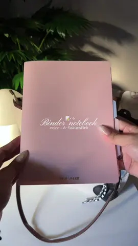 Binder notebook 📔 #binder #bindernotebook #schoolsupply #schoolessentials #fyp 