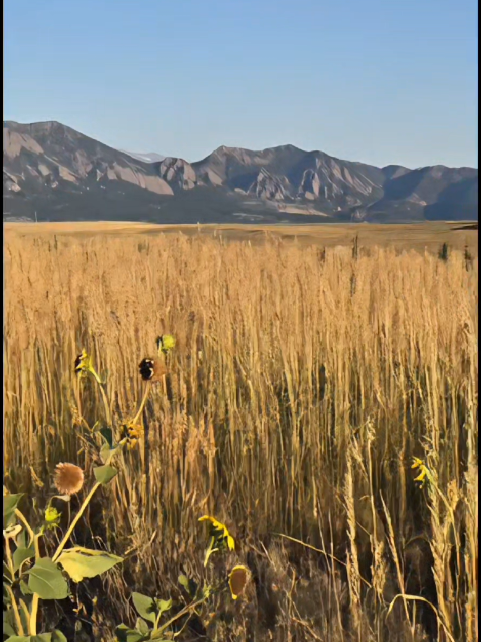 #colorado #flatirons #livingmybestlife #truthbetold 