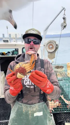 Friendliest Catch #fishing #friendliestcatch #commercialfishing 
