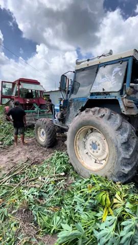 Hết phép 😁😁#maycaytayninh #70tayninh #thanhnghia #xhtiktok #ford4600🚜🚜🚜🚜🚜🔥🔥🔥👈 