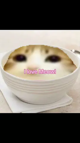 Amo a meowl JAKSAK ESK  😭🫶🏽 #meowl #miau #meow #meowl  #fyp #cat 