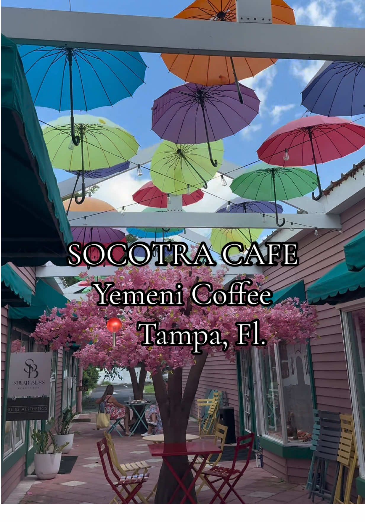 This place is probably the most stunning coffee shop I’ve been to….. @Socotra Yemeni Cafe their coffee and matcha was 🔥 we also tried their croissants (my fav!!), Forrest berry pie and tomato with goat cheese quiche. The owner was so humble and so nice, he noticed me and Jesus taking pics and filming and pulled us to the side to give us a little tour and shared some of their culture and how they make stuff. He even brought us out more food to try ! This is a must coffee shop to check out If you are In the Tampa Florida area 🫶🏻 #coffee #coffeetiktok #coffeetime #tampa 