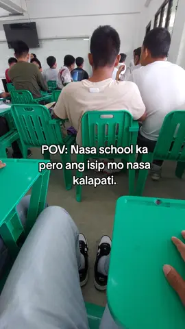panay kalapati laman ng utak. #racingpigeons #pigeon #racing #curex #kalapati #jankul #foryou #kalapatids #fyp 