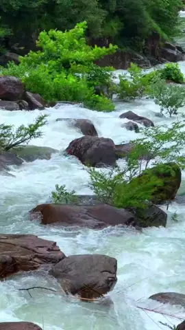 Sungai indah jernih#sungaiindah #sungaijernih #riverside #airsungai #alamindah #pemandanganindah #sungaibersih #sungai #river