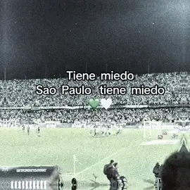 TIENE MIEDO DO QUE? ESTAMOS NAS QUARTAS! VAMOS SÃO PAULO! 🇾🇪💀 #saopaulofc #spfc #atleticonacional #libertadores 