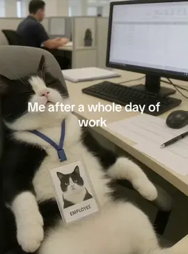 Me after a whole day of work #worklife #fyp #catsoftiktok #cat #funnyvideos 
