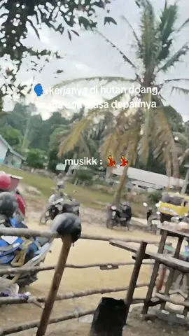 si ganteng kuning kita lewat 🔥🔥