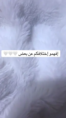 #كندا🇨🇦vsالسودان🇸🇩هولندا🇳🇱 #المغرب🇲🇦تونس🇹🇳الجزائر🇩🇿 #جنقو_مسامير_الأرض🇸🇩🇸🇸جنقوكالي #تشاديينيز🇷🇴💖🇷🇴💖🇷🇴💫💫 #مشاهير_تيك_توك 