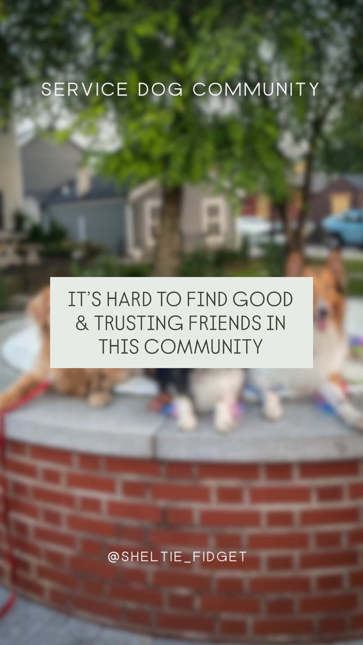 The Service Dog Community can be an extremely dark and toxic place, which is why I pulled back from it years ago and continue to keep my circle small. These days I mainly stick to making my videos and talking with a handful of trusted friends. * One of those friends is Sophie (@that.golden.goose ). We first connected online years ago, bonding over our shared love of dogs, Marvel, books, and most recently K-pop Demon Hunters! Despite years of friendship, our schedules and distance kept us from meeting—until this past weekend when I was in Maryland. * Finally meeting Sophie and Goose was such an amazing experience. After so many bad meetups in the past, I expected nerves, but with them there was nothing but excitement. I’m beyond grateful that even in such a toxic space, I’ve been able to find genuine, amazing people like them. 💛 I cannot wait to share more photos and videos from our meetup with you all and I already can’t wait for the next one! * * #servicedogs #viral #servicedogcommunity #serviceanimals #friends