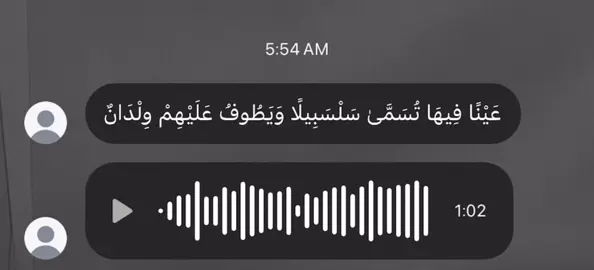 عَيْنًا فِيهَا تُسَمَّىٰ سَلْسَبِيلًا وَيَطُوفُ عَلَيْهِمْ وِلْدَانٌ  #قران_كريم #قران #قران #قران_كريم #قران  @ماهر بن محمد 