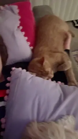 My two best friends. 