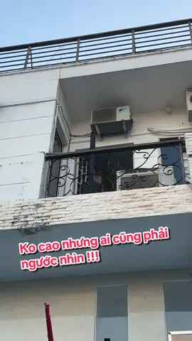 💥Chiều chiều xách con loa ra ban công mời cả xóm nghe nhạc 🤣🤣  #damtech #bose #bosel1pro16 #karaoke #loa 