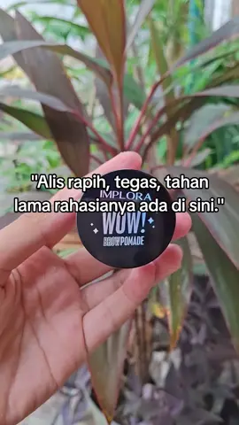 #wow #implora #browpomade 