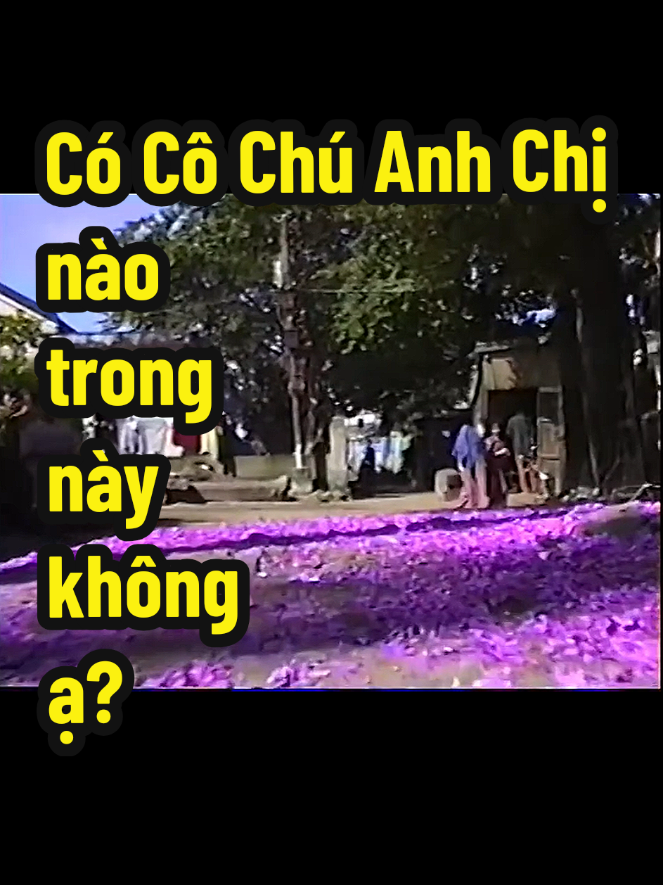 🎋 Mùng 1 Tết 1994 ở xóm An Hải Tây, Đà Nẵng. 🎋 Có cô/chú/anh/chị nào ở trong này không ạ? 🎋 Việc cấm đốt pháo nổ bắt đầu từ 1/1/1995, sau khi có Chỉ thị 406-TTg của Thủ tướng Chính phủ ban hành ngày 8/8/1994. #tet2026 #fyp #tet #tetmientay #viral 