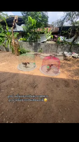 🤣#กดใจให้หน่อย #อย่าปิดการมองเห็น #ฟีดดดシ 