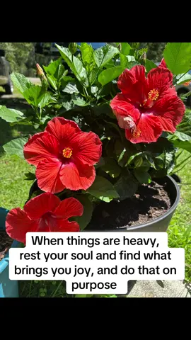 When things are heavy, rest your soul and find what brings you joy and do it on purpose #MomsofTikTok #90sthrowback #plantsoftiktok #foryourpage #plantmom 
