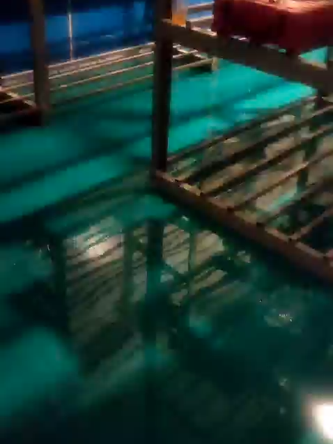 Proses produksi hanya 1- 2 hari, banyak pilihan warna, harga kompetitif📷 Yuk upgrade lantai industri Anda dengan cat epoxy berkualitas dari Epoxy 789! langsung aja hubungi 082298789789! #印度尼西亚工厂 #环氧地坪工程 #epoxylantai #涂料厂家 #地坪施工 #工业漆 #floorcoating #环氧地坪 #epoxy789 #Qibajiu789 #catepoxy789 #kontarktor #semuaorang #gudang #pabrik #kontraktor #catlantai #epoxy #pembangunan #foryoupage