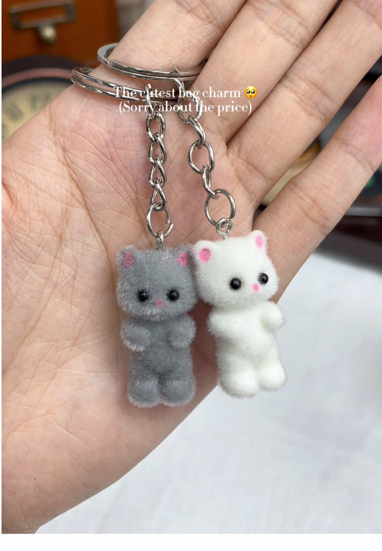 10/10 love this cat charms🥳💕❤️ #charm #tiktokshopbacktoschool #spotlightfinds #fyp