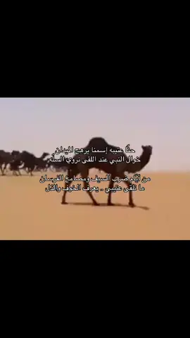 #511 #الهيلا #عتيبه #روق #برقا 