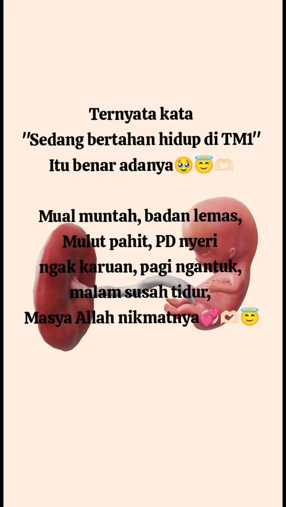 #masyaallahtabarokallah #bumil #bumilsehat #bumilhappy #bumilkuat #masukberandamu #fyppppppppp #trimester1