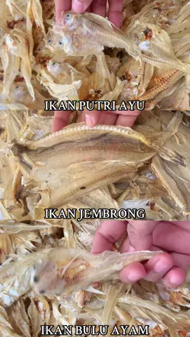 Varian ikan tipis,kalian tim suka yang mana nih guys?komennnn dong🛍️ #bismillahfyp #tipis #jembrong #putriayu #buluayam 