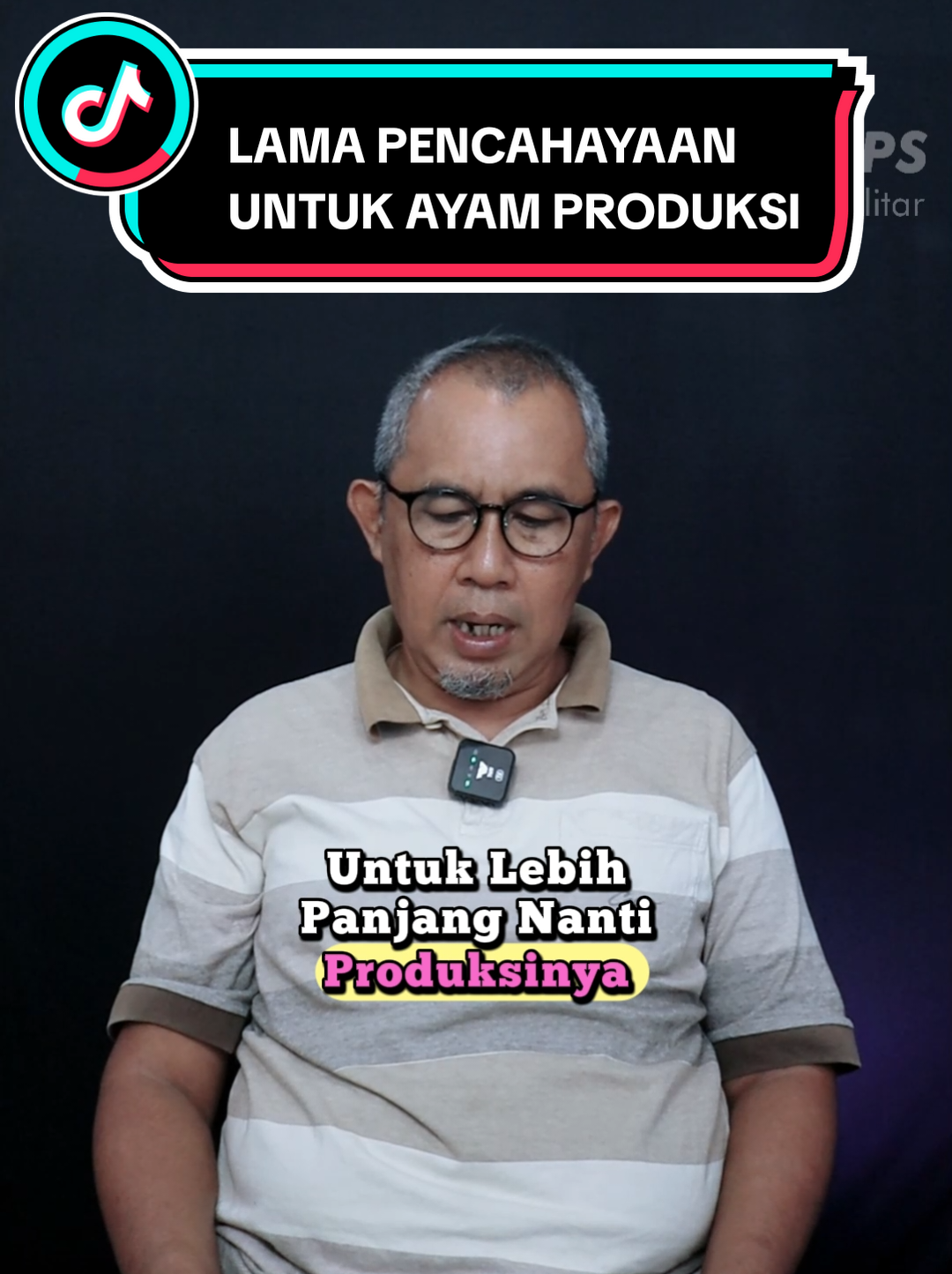 LAMA PENCAHAYAAN UNTUK AYAM PRODUKSI🐥🐣 #DinastyPS #PeternakAyam #PeternakanSukses #BibitUnggasBerkualitas #konsultasipeternakanunggas 