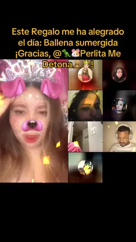 🦖🐹Perlita Me Detona🧸🤴🏻, gracias por el fantástico Regalo que has enviado en mi LIVE. Siempre recordaré este momento.@🦖🐹Perlita Me Detona🧸🤴🏻 #tiktoklive #livehighlights #livegift #whalediving #ballenasumergida 
