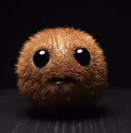 Kiwi #nichefruit #67 #viral #fyp #kiwi 