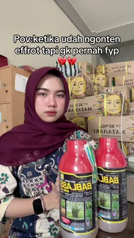#munculberanda #bismillahfyp #fotolive #4u #pestisida 