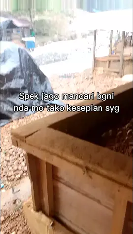 #gorontalo #gorontalotiktok #gorontalopunya #storyanaktambang #fyp 