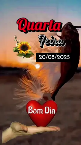 Quarta-feira 20 de agosto Bom dia que seja um dia de bençãos #quartafeira #Bomdia #oracao #motivacao 