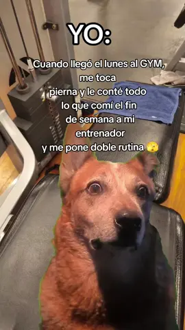 A quien le ha pasado🫣 #gym #paratiiiiiiiiiiiiiiiiiiiiiiiiiiiiiii #gymmemes #gymmotivation🏋️‍♀️ #gymmujeres 