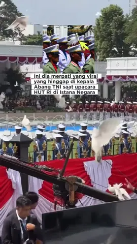 Merpati yang hinggap di kepala Abang TNI saat HUT RI ke 80 di istana negara #tni #tniad #resilience #anniversary #gamerewards                 