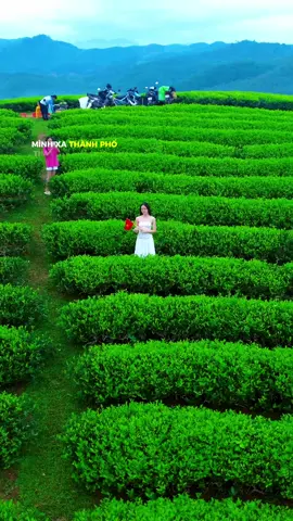 Mình xa thành phố tìm về một nơi thật an nhiên… #doichelongcoc #dulichvietnam #flycamvietnam 