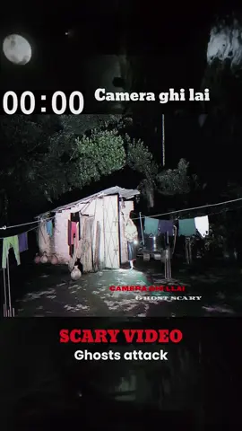 real ghost footage #ghost #animal #horror #scary #cctv 
