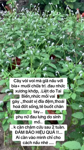 #xuhuongtiktok #xuhuongtiktok2025 