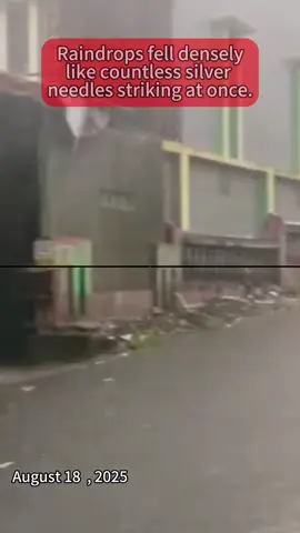 Every drop struck hard, merging into a roar.#StormyWeather#Rainfall#Typhoon#Viral#Live