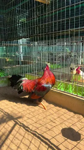 Tới lắm rồi 😁😁