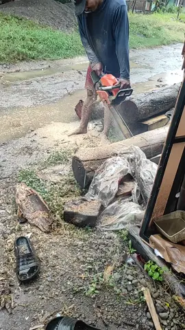 potong kayu apapun semuanya dilibas STIHLsudah terbukti tiada tanding tiada banding #STIHL   