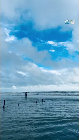 #creatorsearchinsights #viralvideo #hottrend #sea #foryoupage❤️❤️ 