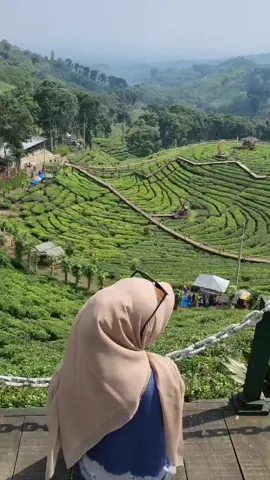 #fyp #wisatajember 
