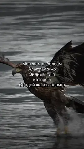 #рекомендации #fyp #qazaq #баласы #🐺🦅 