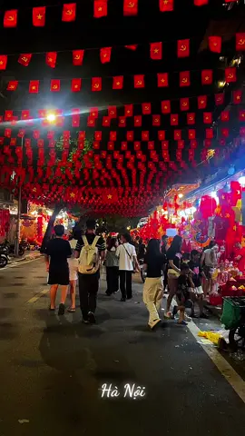 🇻🇳 