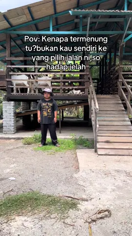 ☺️#26safar #safar2025 #kambing #fypviral 